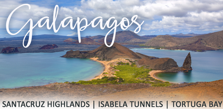 web-galapagos-header