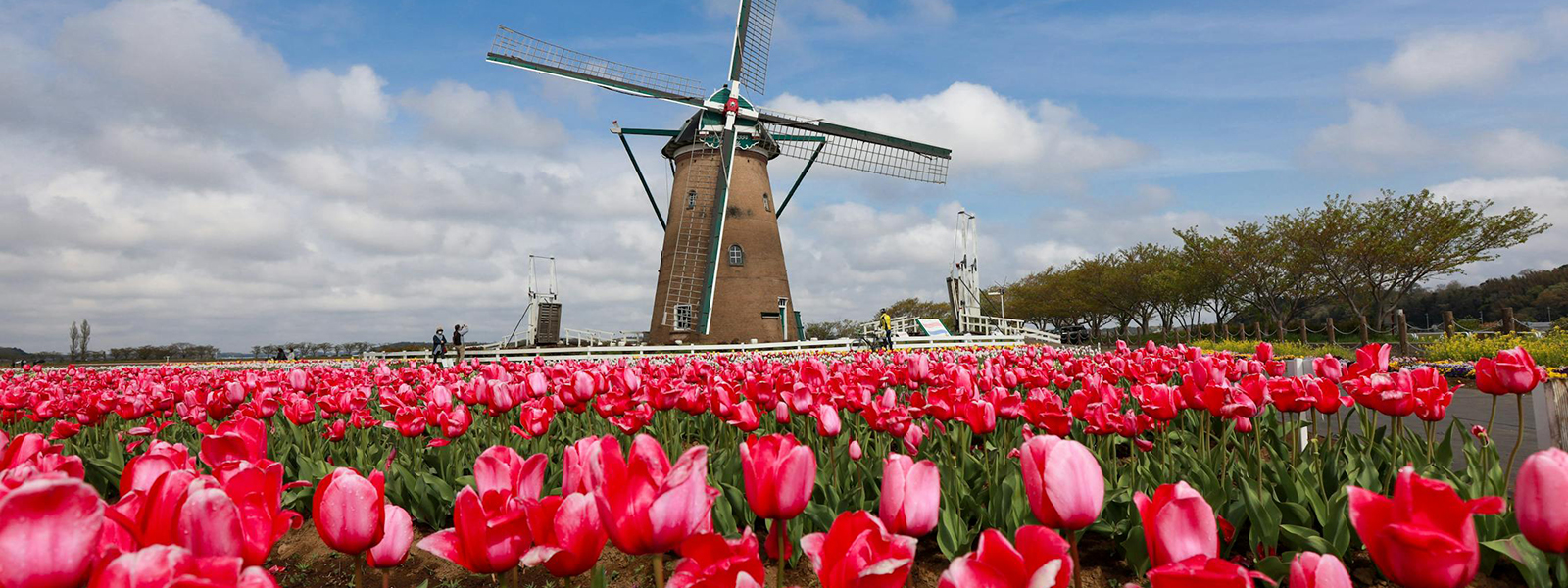 netherlands vacation packages