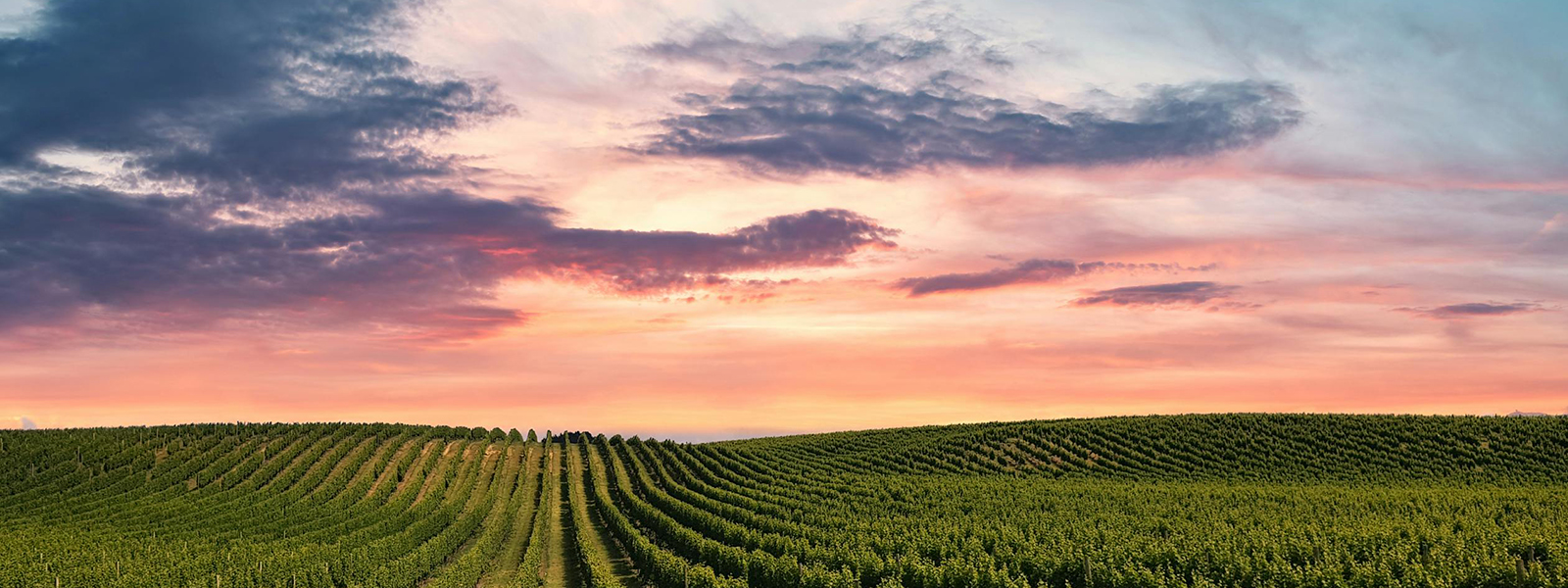 New Zealand vacation packages