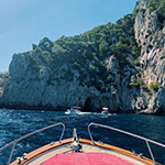 pexels photo 3009069