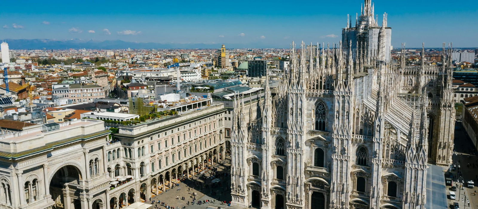 pexels photo 8430364