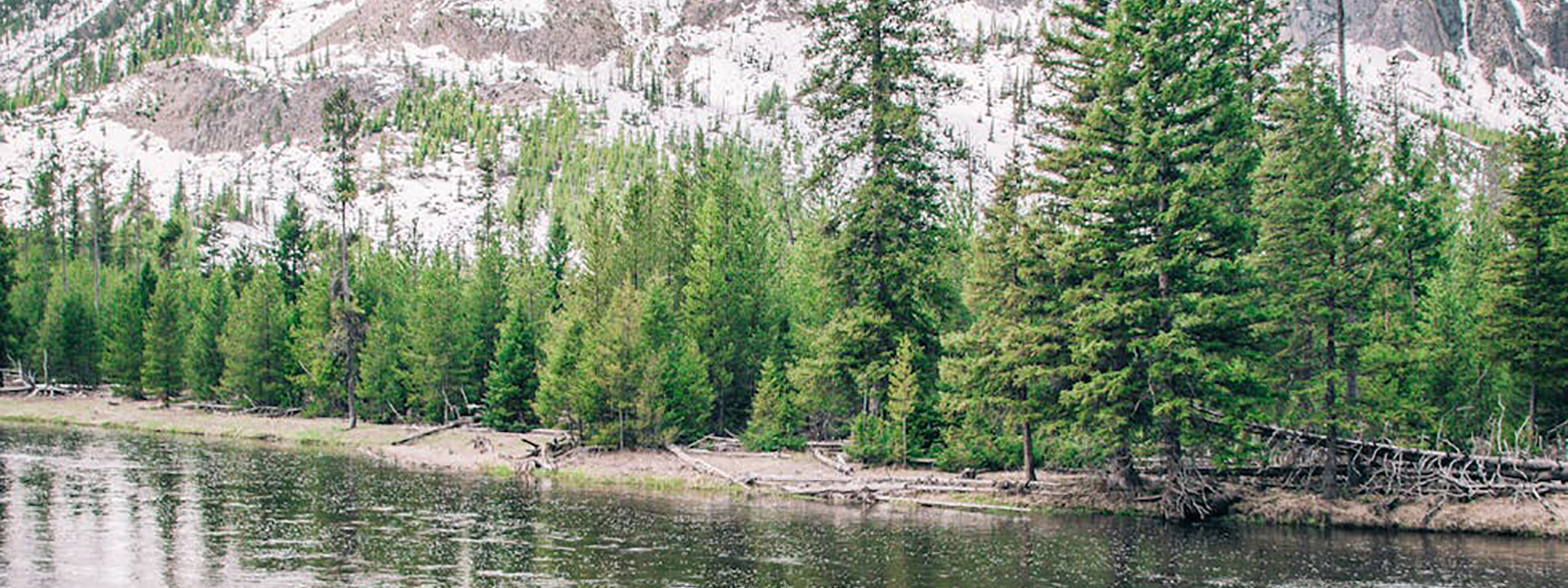 wyoming idaho montana