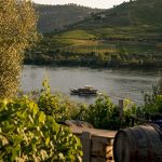 Boat cruising Douro River past vineyard terraces