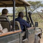 Guests watching giraffes from a safari vehicle