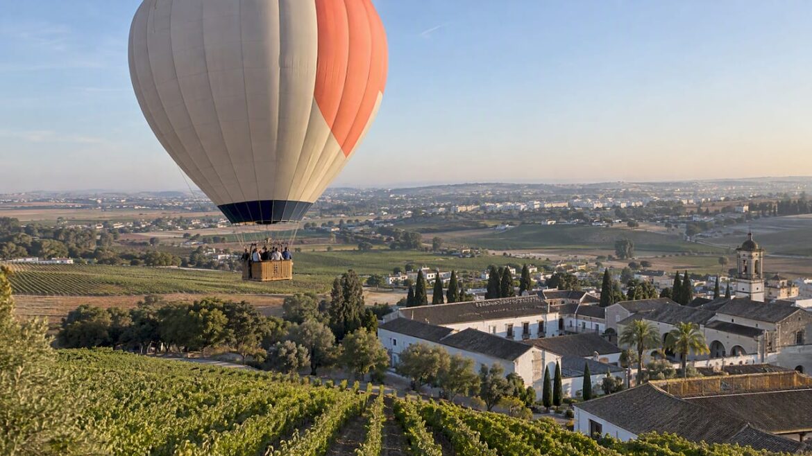 Hot-air balloon above Jerez vineyards at sunrise