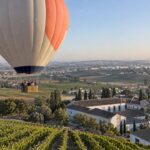 Hot-air balloon above Jerez vineyards at sunrise