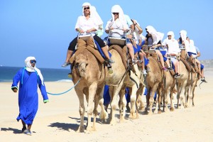 Riding Camels in Cabo